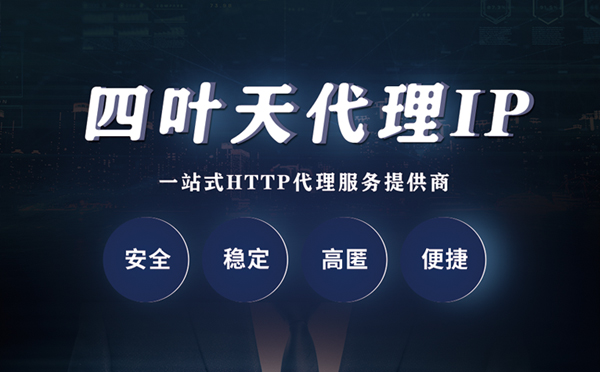 【海南代理IP】代理ip客户端使用教程